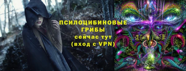 бутират Каменка