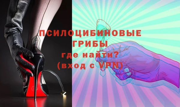 герыч Каменногорск